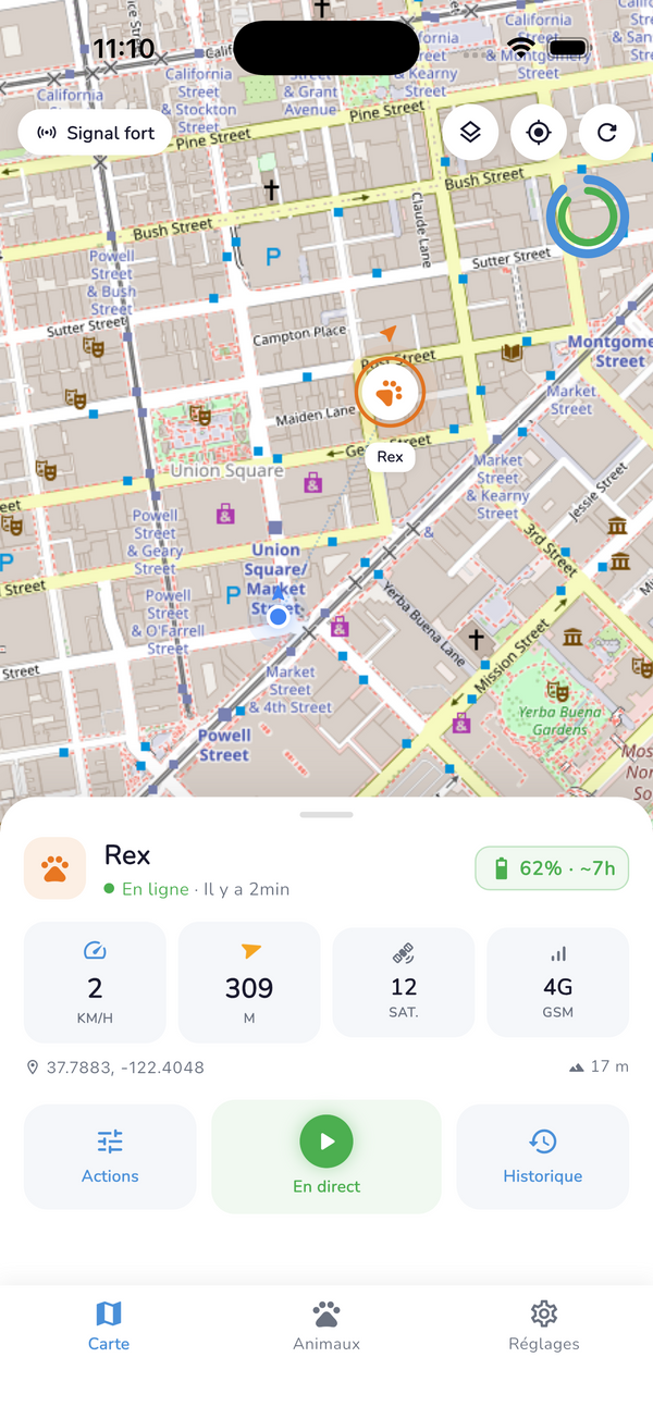 Application Lupsy : carte en temps réel