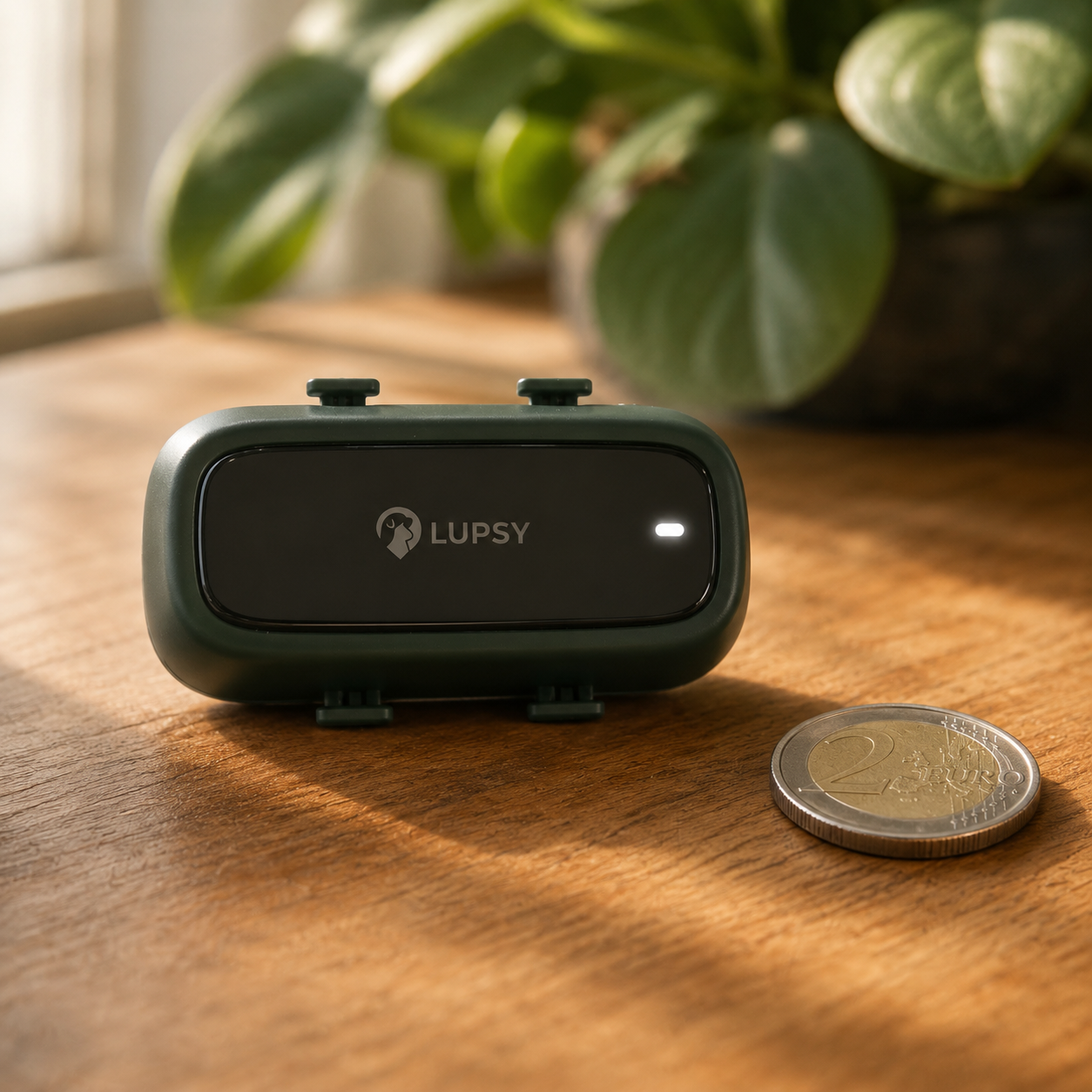 Pack Lupsy P5 — GPS chien & chat, 12 mois inclus