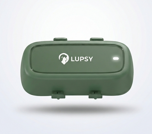 Pack Lupsy P5 – GPS 4G pour chien & chat + 12 mois d'abonnement inclus