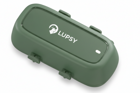 Pack Lupsy P5 – GPS 4G pour chien & chat + 12 mois d'abonnement inclus