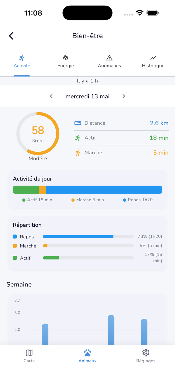 Application Lupsy : activité et bien-être